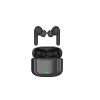 Star Series ANC-E1 TWS Earphone ANC-E1 (black)